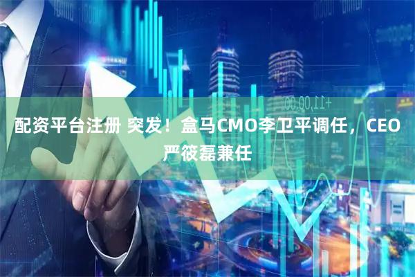 配资平台注册 突发！盒马CMO李卫平调任，CEO严筱磊兼任