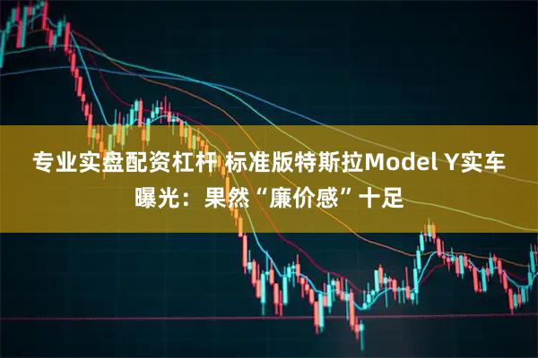 专业实盘配资杠杆 标准版特斯拉Model Y实车曝光：果然“廉价感”十足