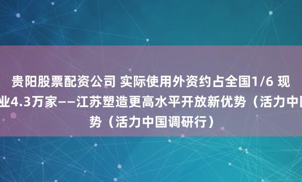 贵阳股票配资公司 实际使用外资约占全国1/6 现有外资企业4.3万家——江苏塑造更高水平开放新优势(活力中国调研行)