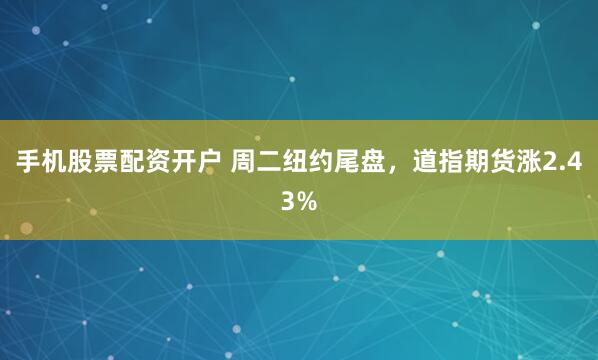 手机股票配资开户 周二纽约尾盘，道指期货涨2.43%